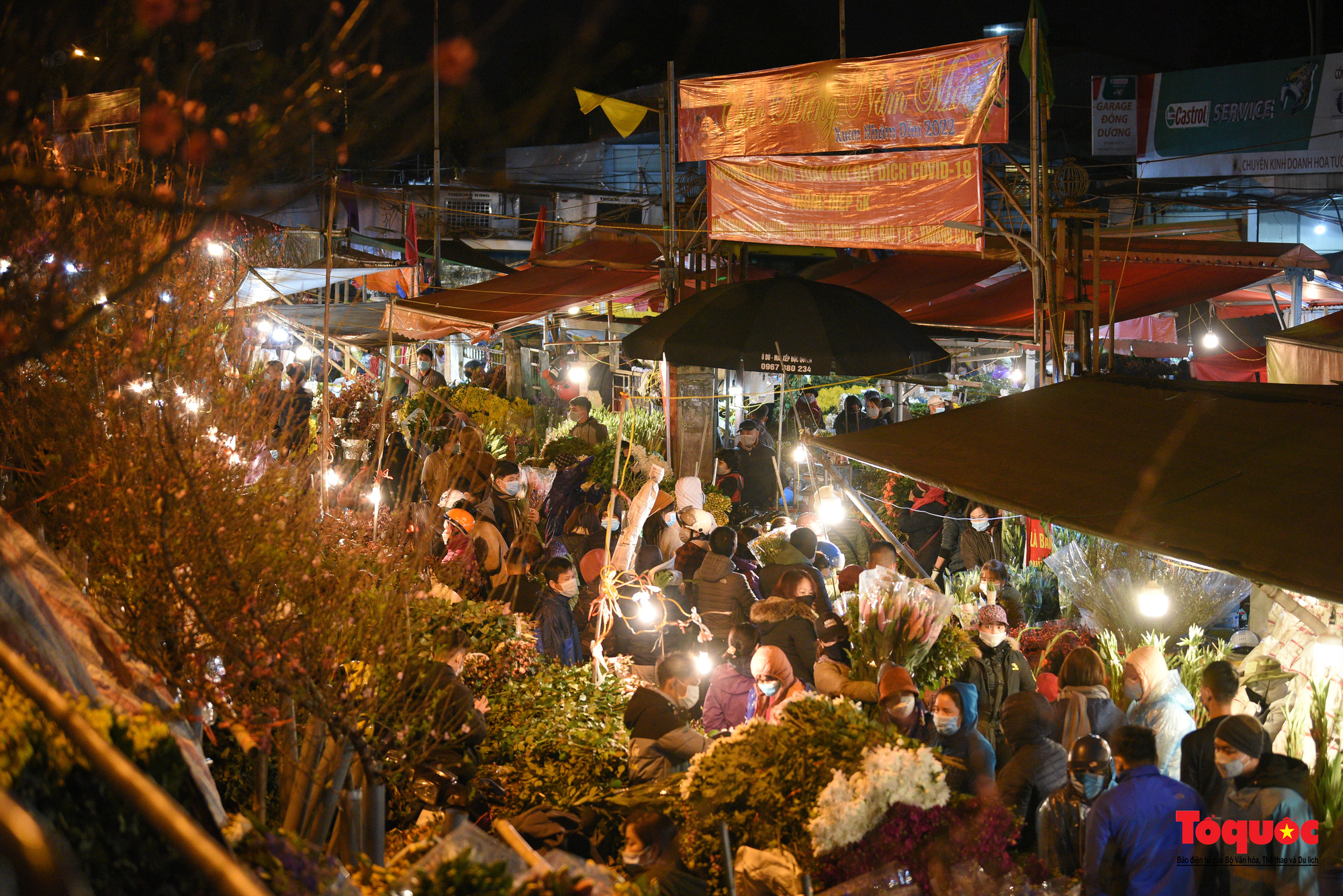 Chợ hoa đêm lớn nhất Hà Nội rộn ràng ngày cận Tết - Ảnh 1.