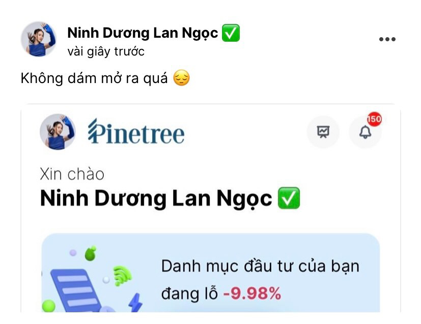 Thị trường đỏ lửa, Ninh Dương Lan Ngọc đầu tư chứng khoán lãi lời ra sao? - Ảnh 2.