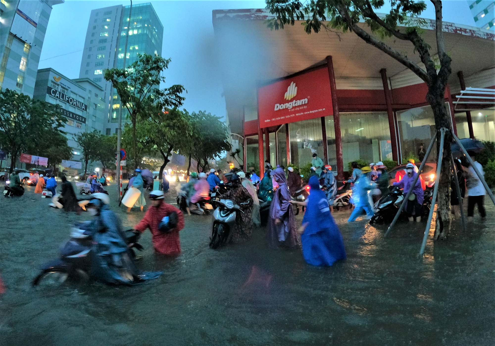 Clip, ảnh: Đường phố Đà Nẵng thành sông sau mưa, người dân dắt xe bì bõm về nhà - Ảnh 21.