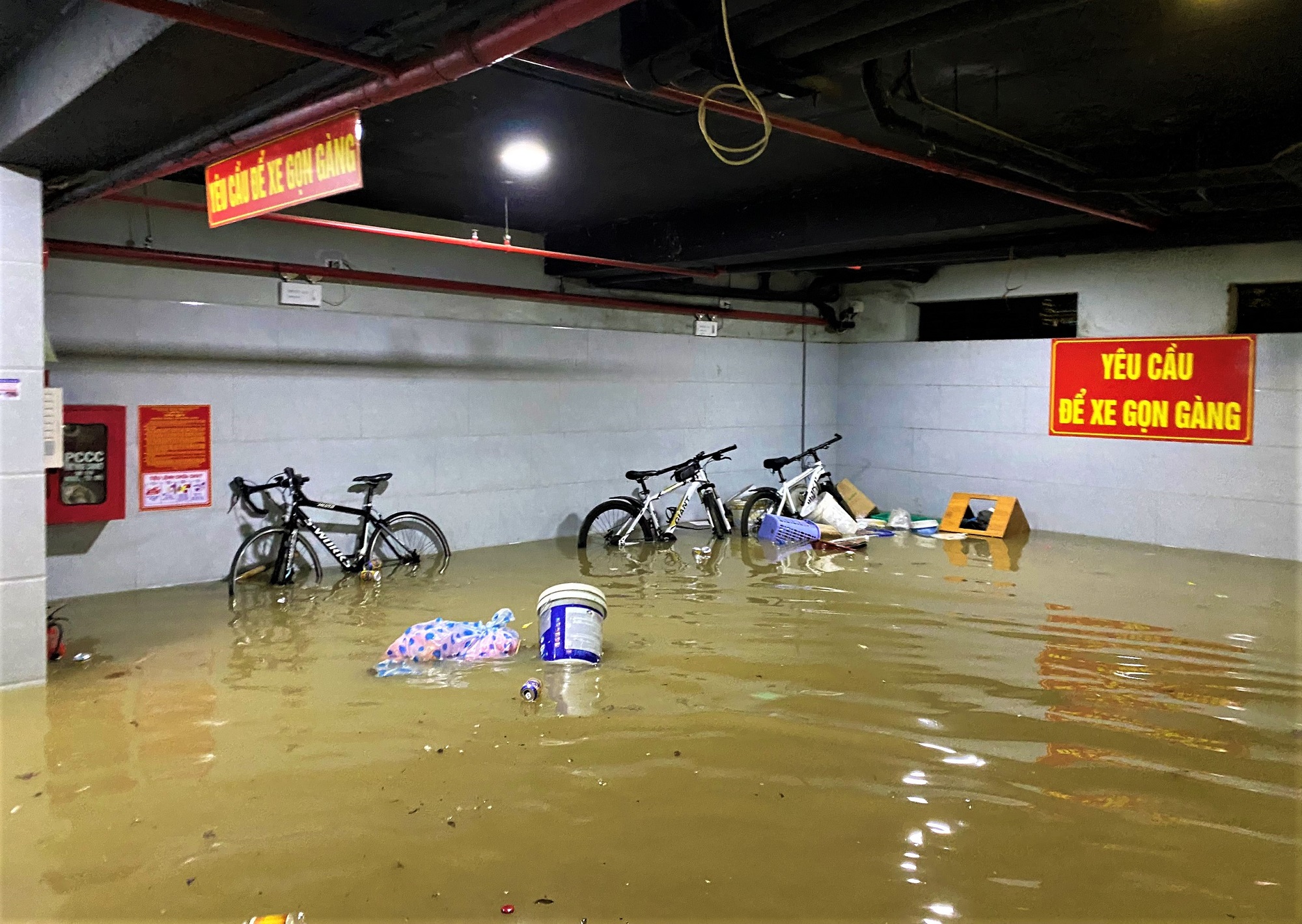 Clip, ảnh: Đường phố Đà Nẵng thành sông sau mưa, người dân dắt xe bì bõm về nhà - Ảnh 15.