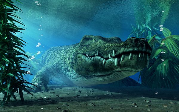 Đây là những điều sẽ xảy ra nếu bạn thả một con cá sấu vào hồ đầy cá ăn thịt piranha - Ảnh 4.