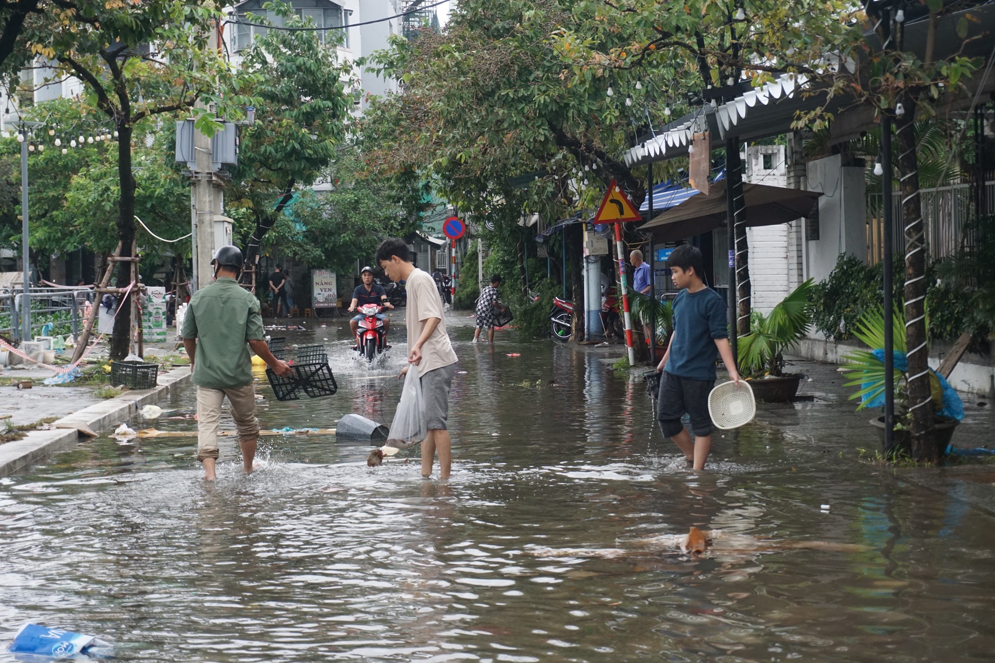 Người Đà Nẵng mang rổ ra đường phố bắt cá sau mưa - Ảnh 1.