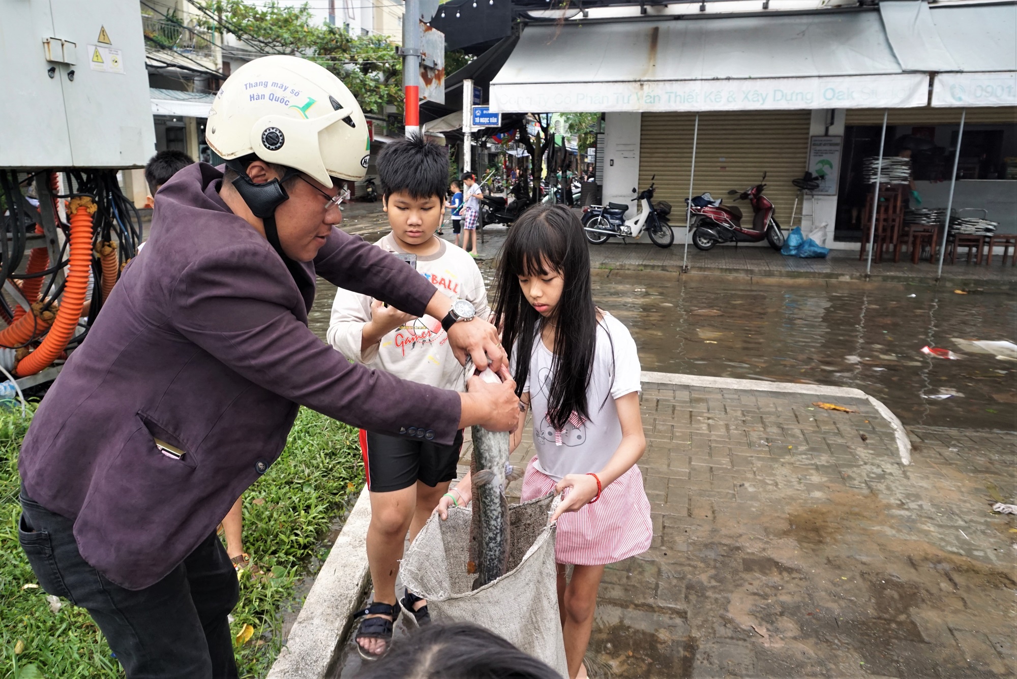 Người Đà Nẵng mang rổ ra đường phố bắt cá sau mưa - Ảnh 7.