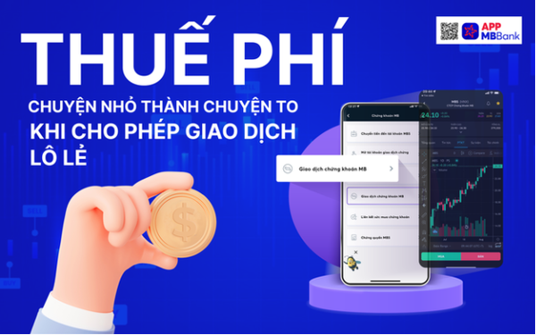 Giải pháp giảm bớt thuế phí cho nhà đầu tư chứng khoán cá nhân - Ảnh 1.