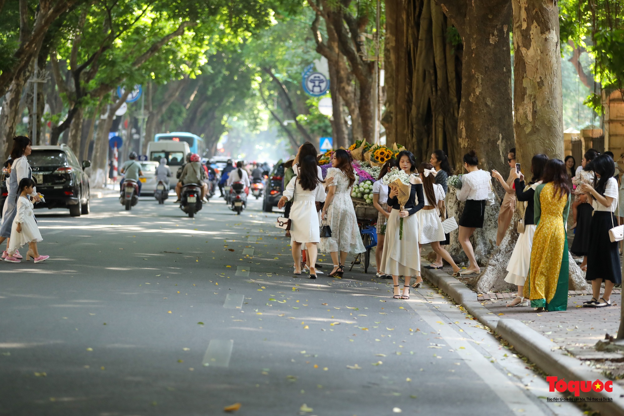 Hàng trăm người đổ về phố Phan Đình Phùng ''săn nắng'' mùa thu Hà Nội - Ảnh 2.
