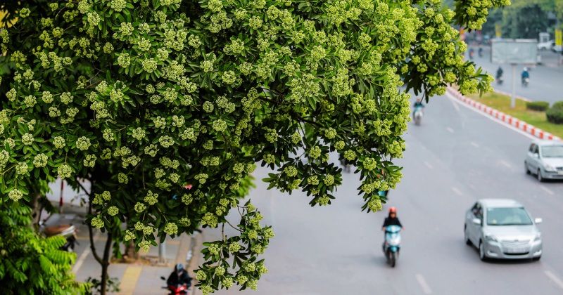 Đường Nguyễn Chí Thanh - Từ &quot;Con đường đẹp nhất Việt Nam&quot; và những lần &quot;biến hình&quot; để trở thành tuyến phố điểm của Thủ đô - Ảnh 1.