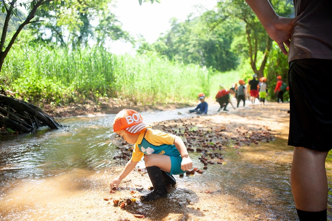 Cùng trẻ khám phá rừng nguyên sinh tại Phong Nha - Kẻ Bàng - Ảnh 1.