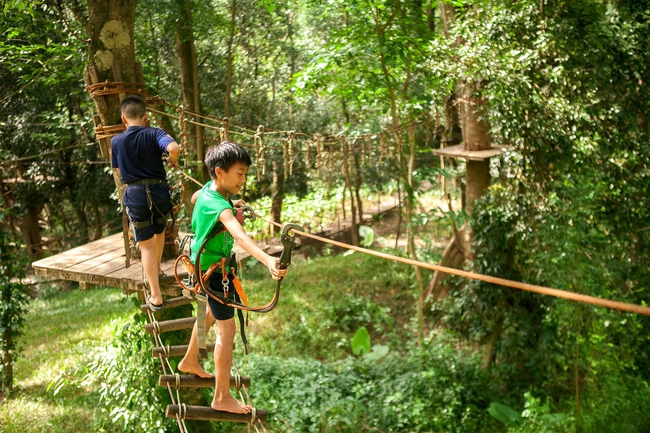 Cùng trẻ khám phá rừng nguyên sinh tại Phong Nha - Kẻ Bàng - Ảnh 3.
