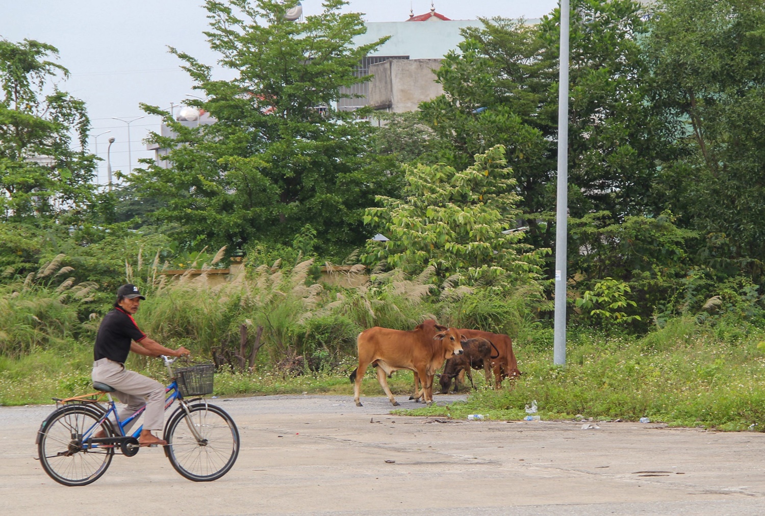 Cận cảnh bến xe 130 tỷ đồng bỏ hoang 10 năm ở Đà Nẵng - Ảnh 18.