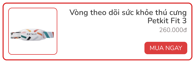 Review vòng theo dõi sức khỏe thú kqbd kèo nhà cái 5 Petkit Fit 3: Rẻ, đẹp, pin siêu bền - Ảnh 9.