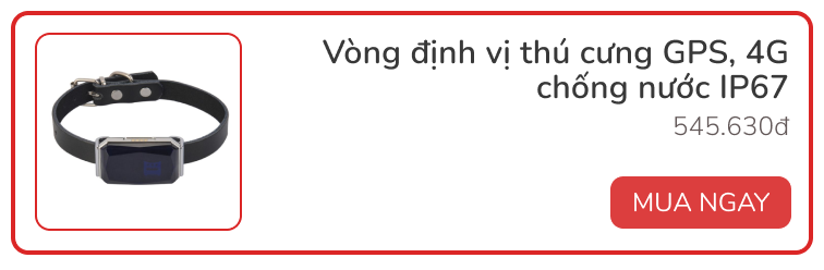 Review vòng theo dõi sức khỏe thú kqbd kèo nhà cái 5 Petkit Fit 3: Rẻ, đẹp, pin siêu bền - Ảnh 12.
