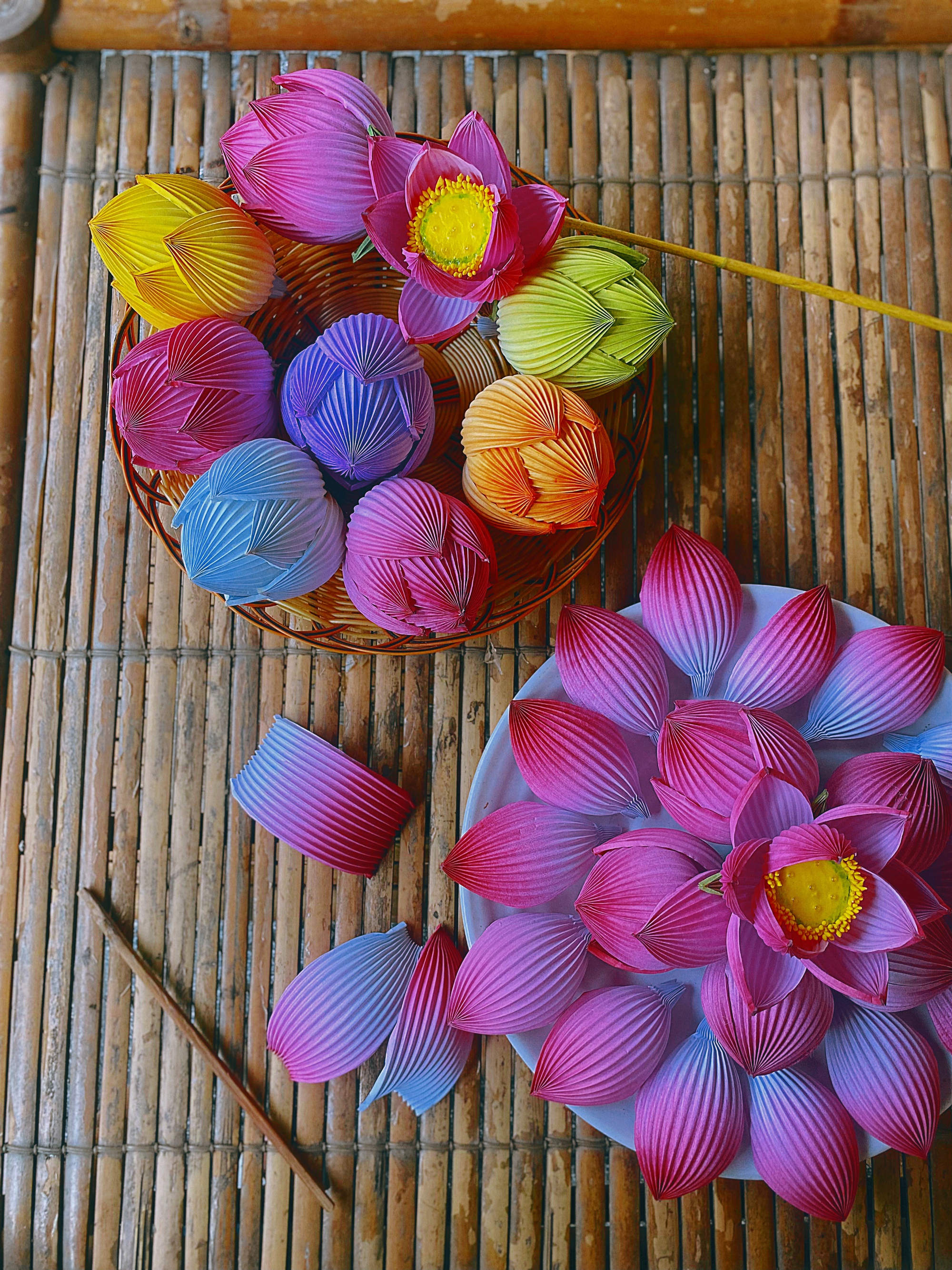 hoa sen