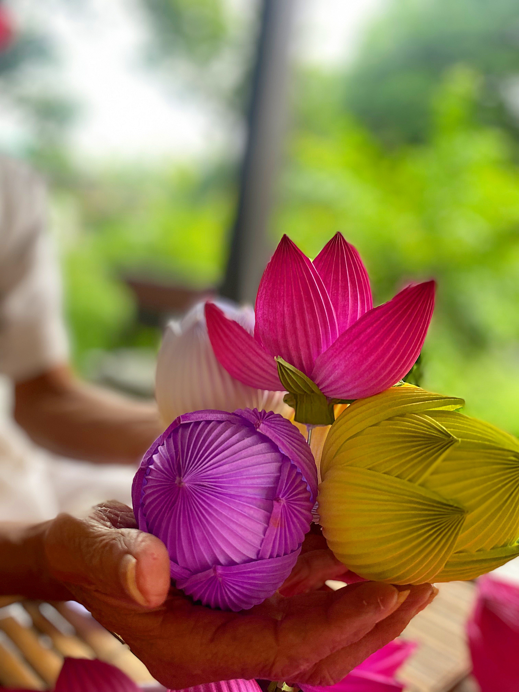 hoa sen giấy