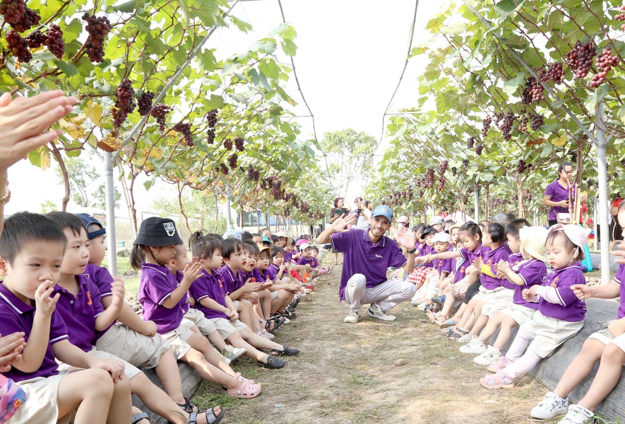 Với những luống nho sai trĩu, được chăm sóc cẩn thận, thẳng hàng đang mang đến trải nghiệm mới lạ cho khách tham quan vào dịp cuối tuần.