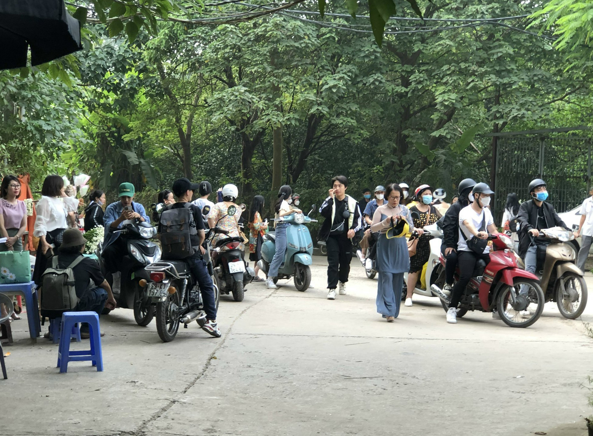 Hà Nội: Tắc đường vì người dân đổ xô đi chụp cúc họa mi - Ảnh 10.