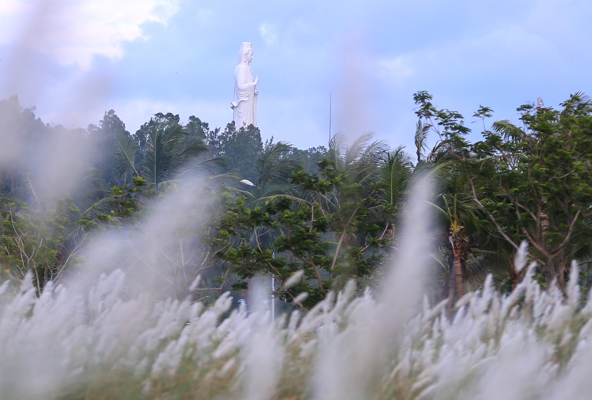 Người dân và du khách đổ xô check-in đồng cỏ lau trắng ở Đà Nẵng - Ảnh 9.