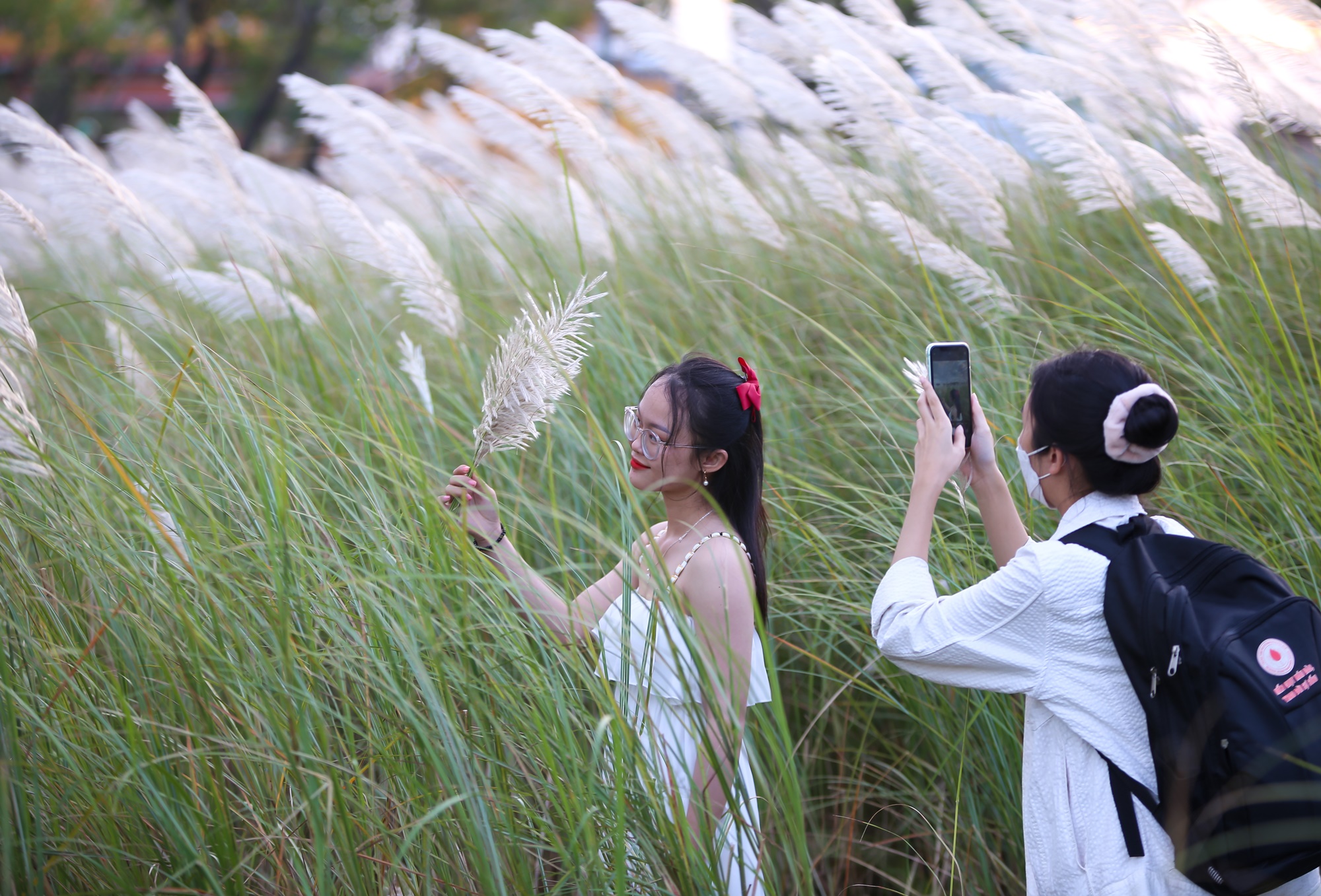 Người dân và du khách đổ xô check-in đồng cỏ lau trắng ở Đà Nẵng - Ảnh 21.