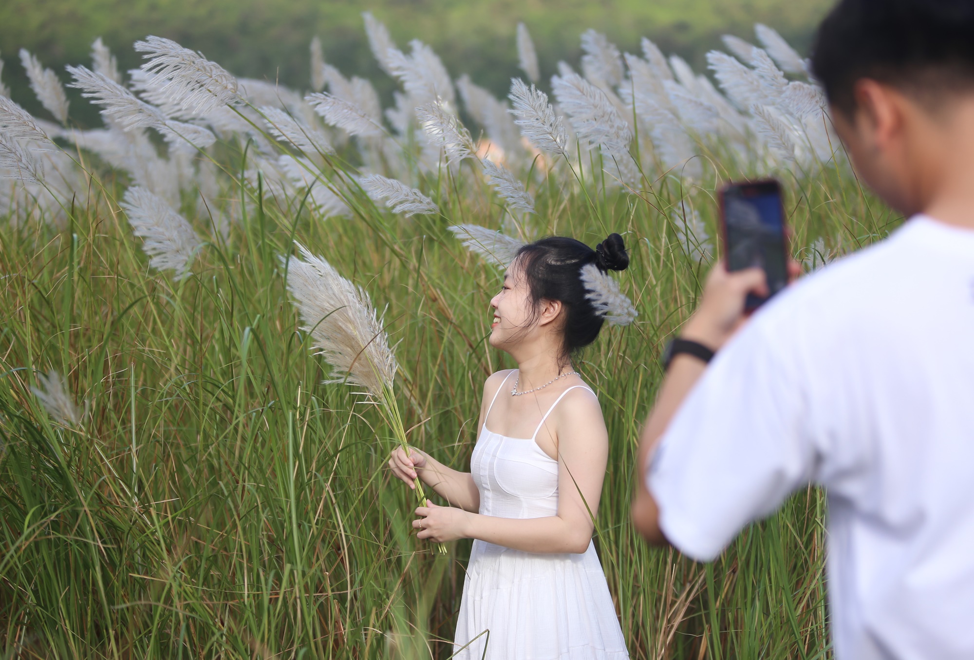 Người dân và du khách đổ xô check-in đồng cỏ lau trắng ở Đà Nẵng - Ảnh 17.