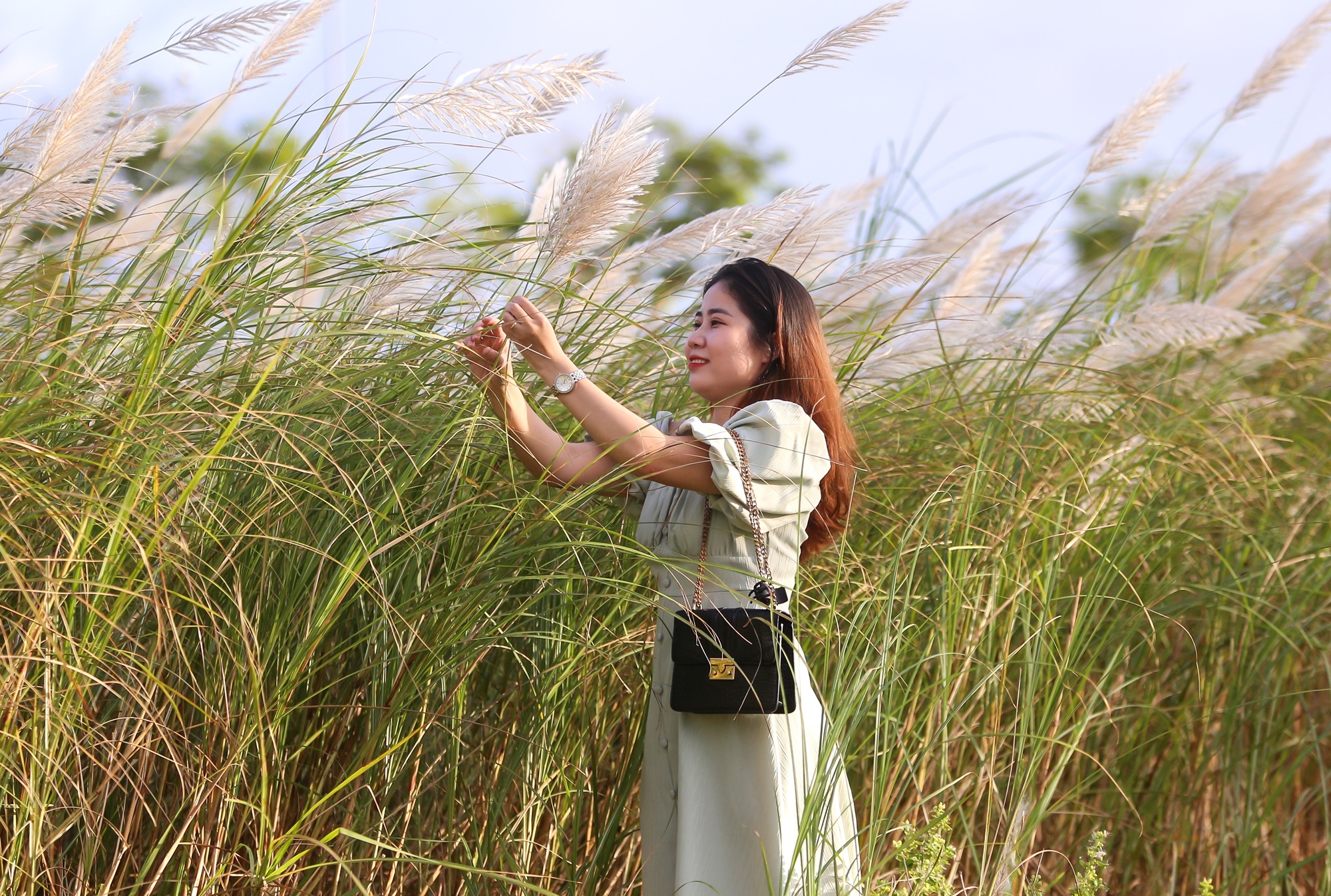 Người dân và du khách đổ xô check-in đồng cỏ lau trắng ở Đà Nẵng - Ảnh 16.