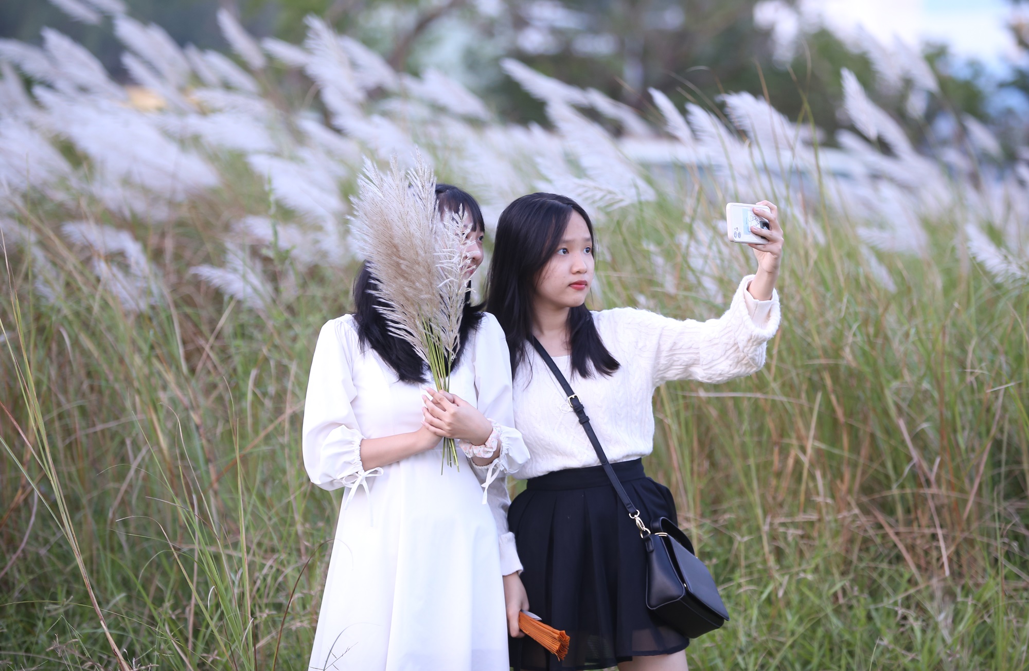 Người dân và du khách đổ xô check-in đồng cỏ lau trắng ở Đà Nẵng - Ảnh 5.