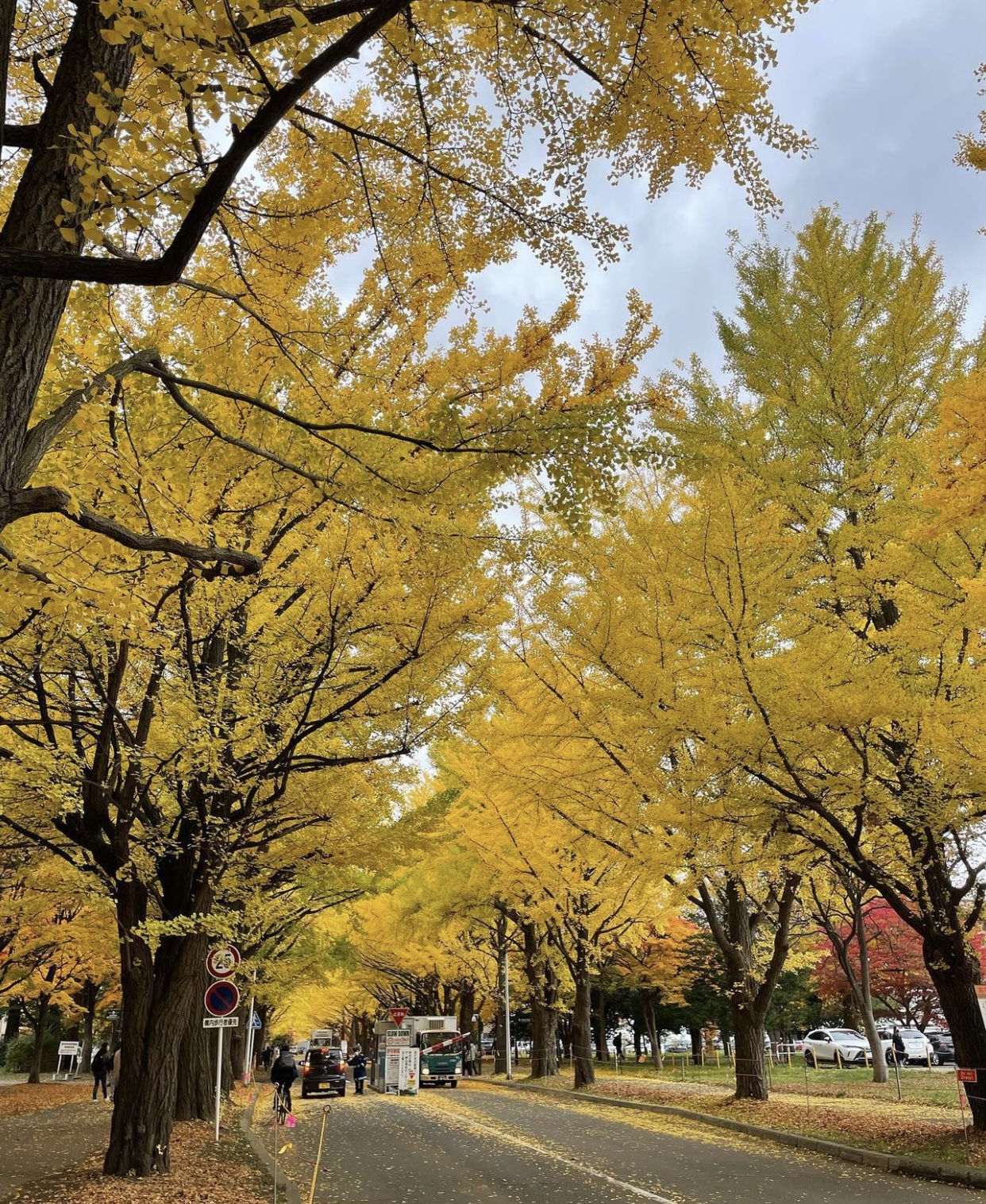 Vẻ đẹp mộng mơ của mùa thu Nhật Bản, xem xong chỉ muốn xách vali lên đường - Ảnh 21.