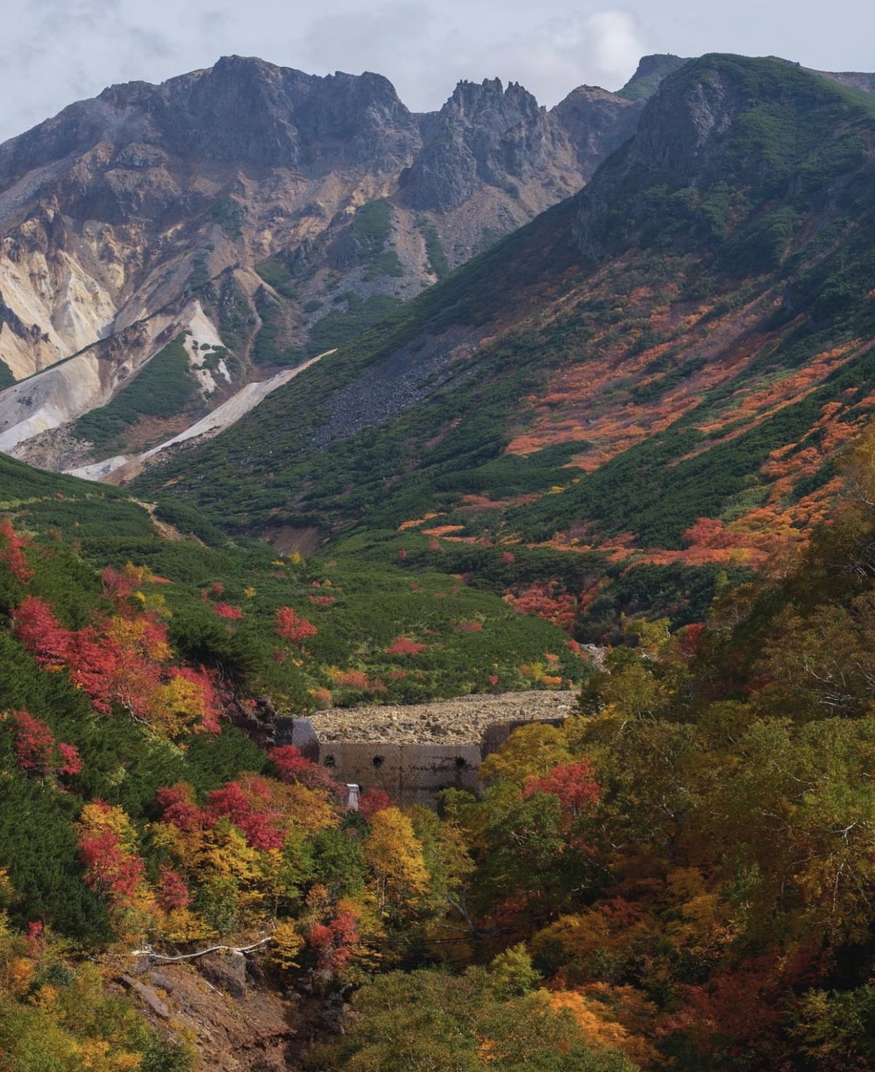 Vẻ đẹp mộng mơ của mùa thu Nhật Bản, xem xong chỉ muốn xách vali lên đường - Ảnh 17.