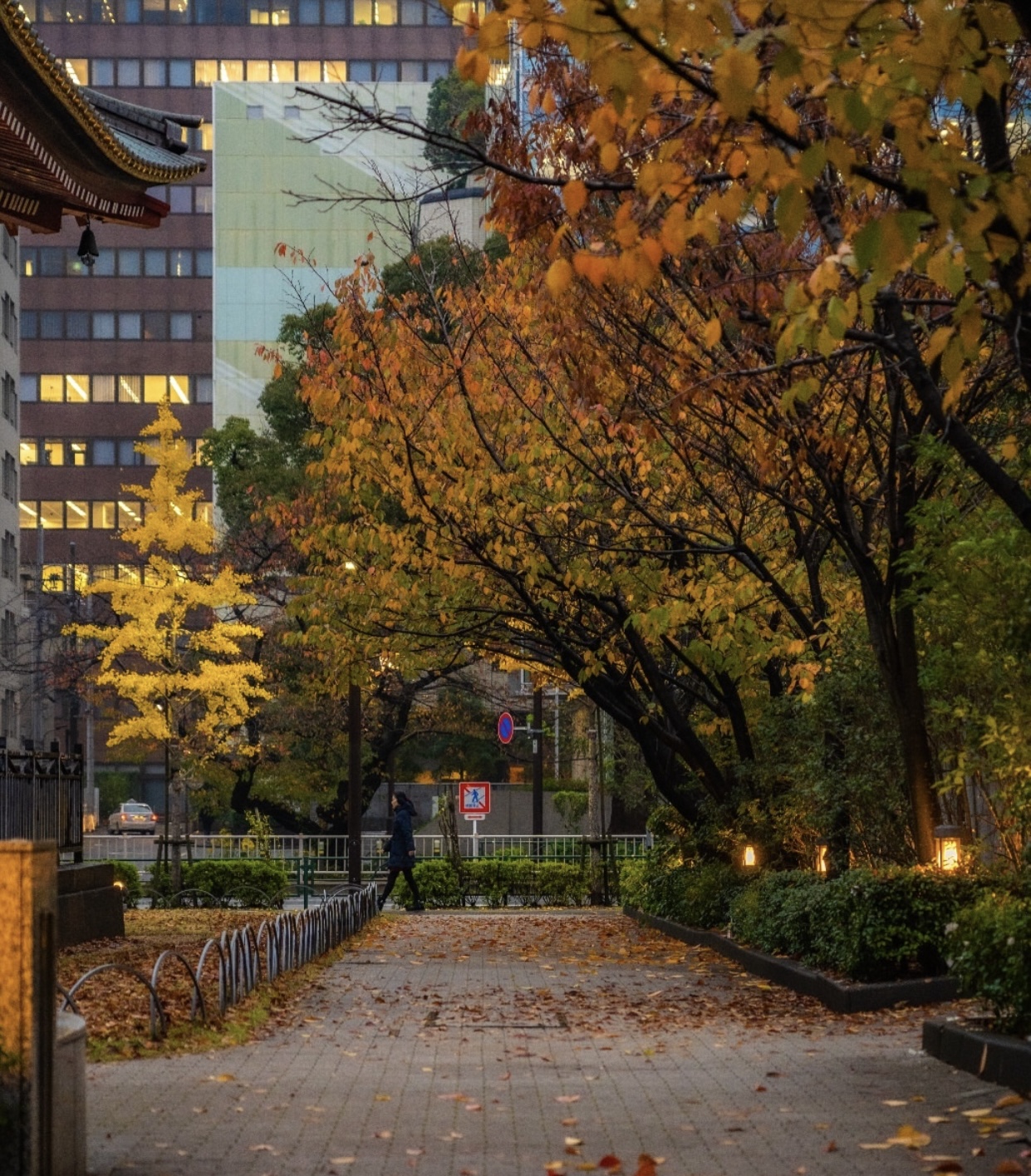 Vẻ đẹp mộng mơ của mùa thu Nhật Bản, xem xong chỉ muốn xách vali lên đường - Ảnh 2.