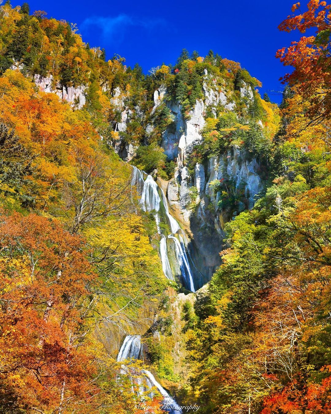 Vẻ đẹp mộng mơ của mùa thu Nhật Bản, xem xong chỉ muốn xách vali lên đường - Ảnh 14.