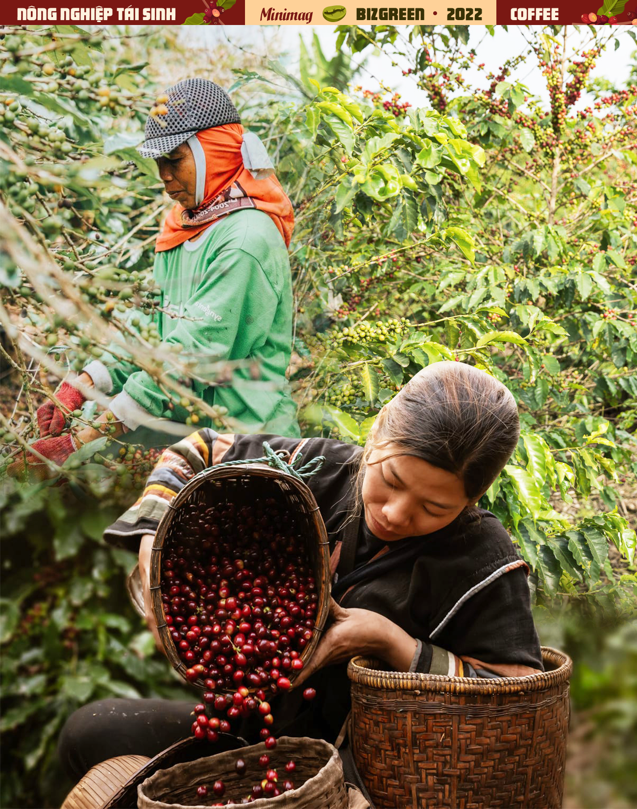 Người đàn ông bỏ việc công ty nước ngoài về trồng cà phê cùng gia đình và cú đổi đời ngoạn mục nhờ nông nghiệp tái sinh - Ảnh 4.