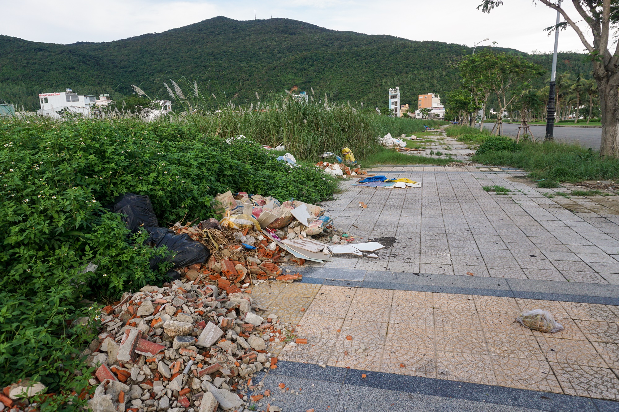 Ảnh: Xà bần, rác thải bủa vây tuyến đường ven biển Đà Nẵng - Ảnh 5.