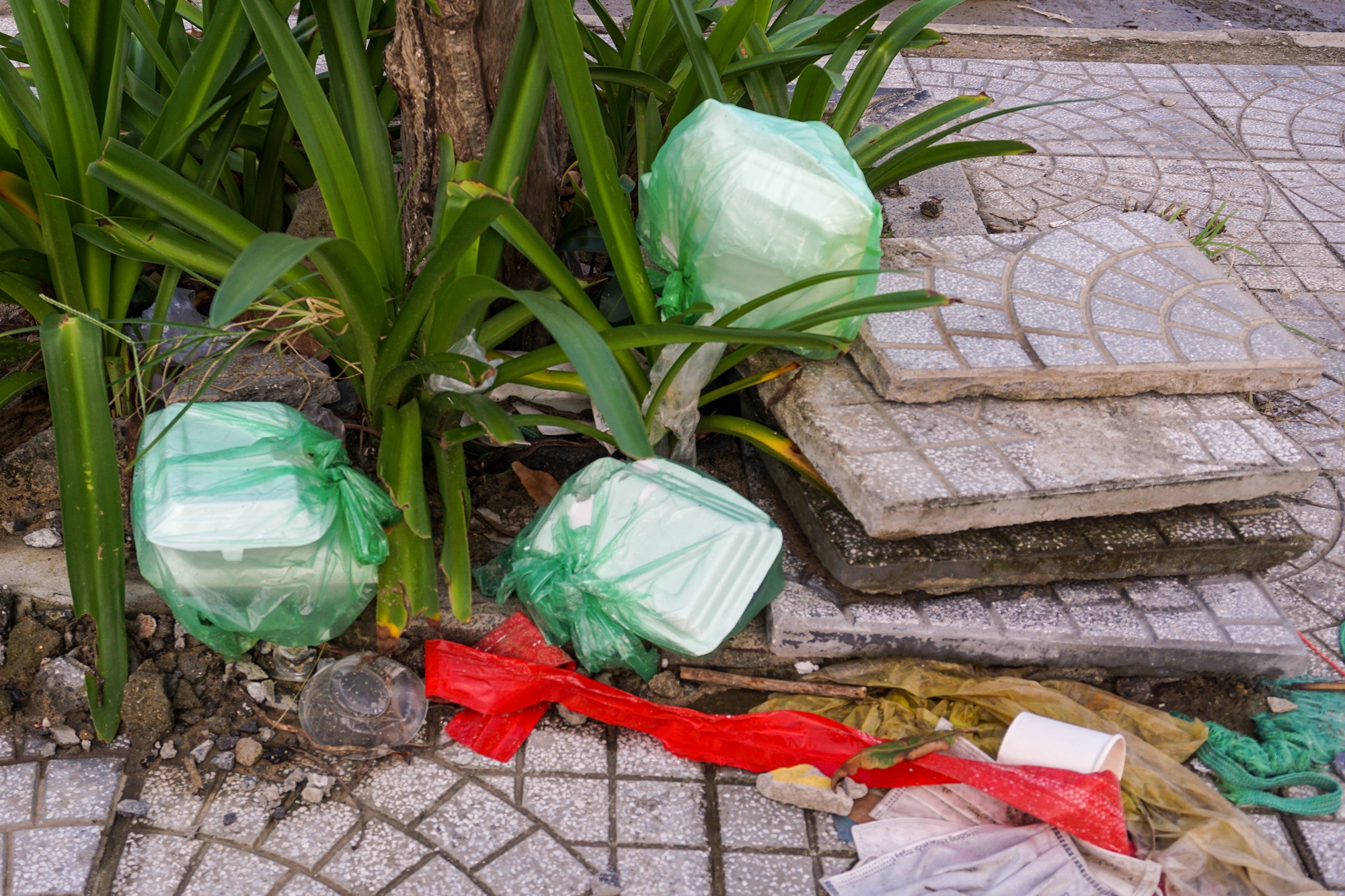 Ảnh: Xà bần, rác thải bủa vây tuyến đường ven biển Đà Nẵng - Ảnh 10.