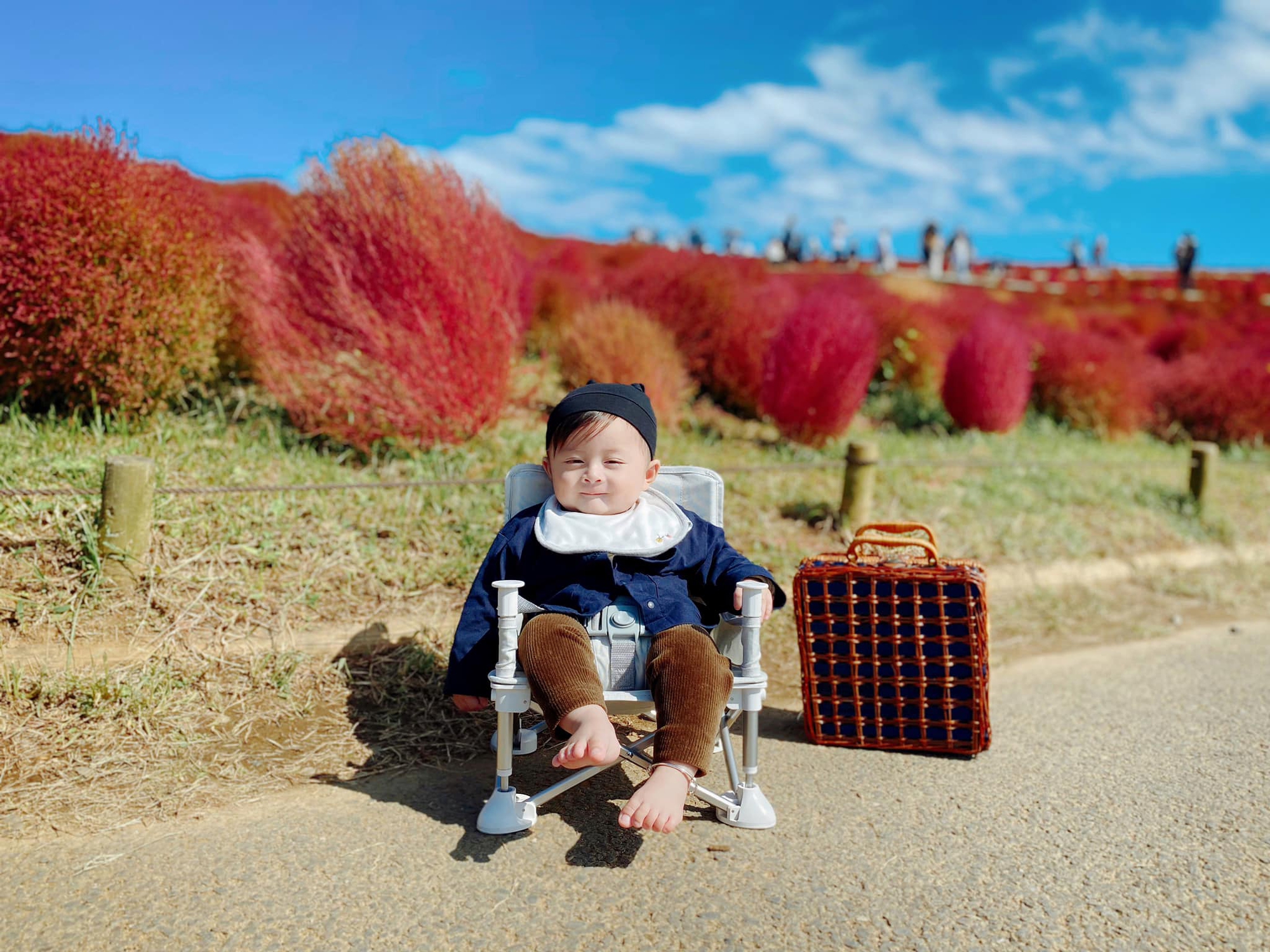 Chuyến du lịch khám phá Nhật Bản của cậu bé 8 tháng tuổi - Ảnh 1.