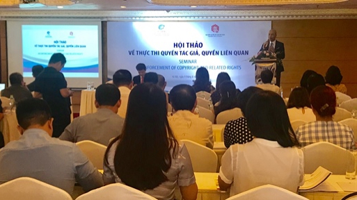 Tổ chức Hội thảo về bảo hộ quyền tác giả, quyền liên quan trên không gian mạng - Ảnh 1.