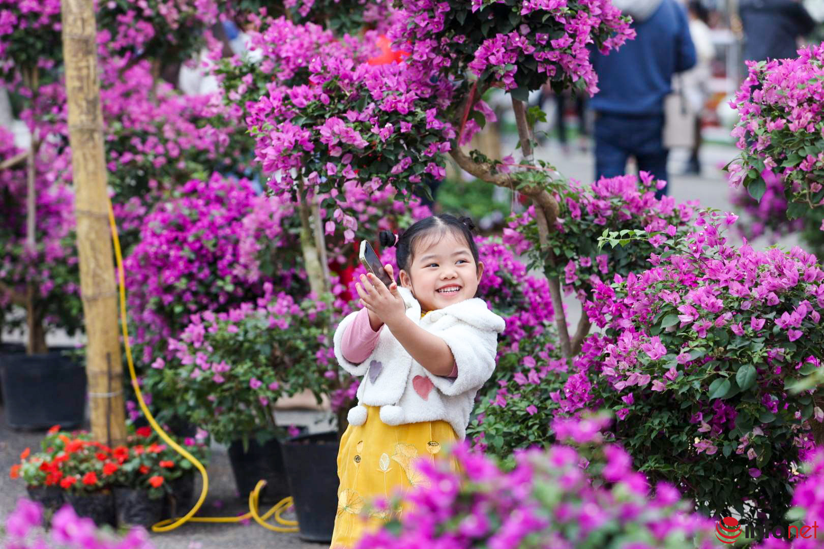 Gần 100 nghìn  lượt người dự Lễ hội hoa Mê Linh 2022 - Ảnh 18.