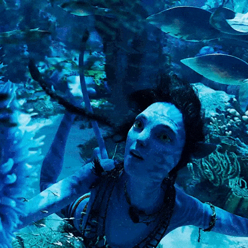 Review Avatar 2 Thông Điệp Ý Nghĩa Và Cảnh Quay Mãn Nhãn Đến Từng Chi Tiết Vincom