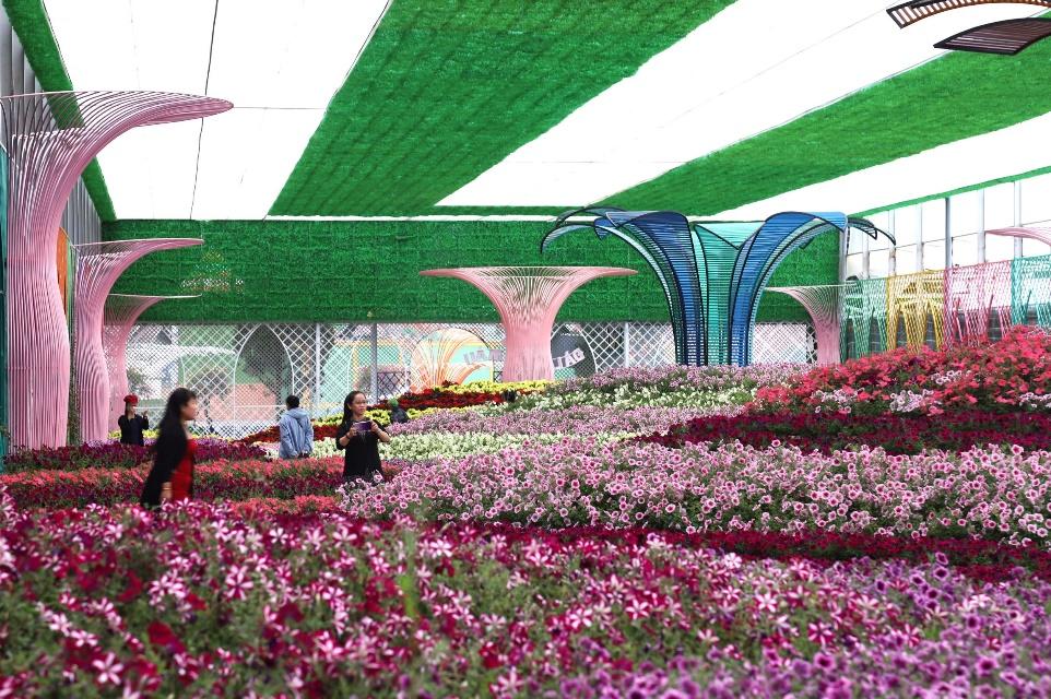 Người dân nô nức checkin tại Festival Hoa Đà Lạt 2022 - Ảnh 7.