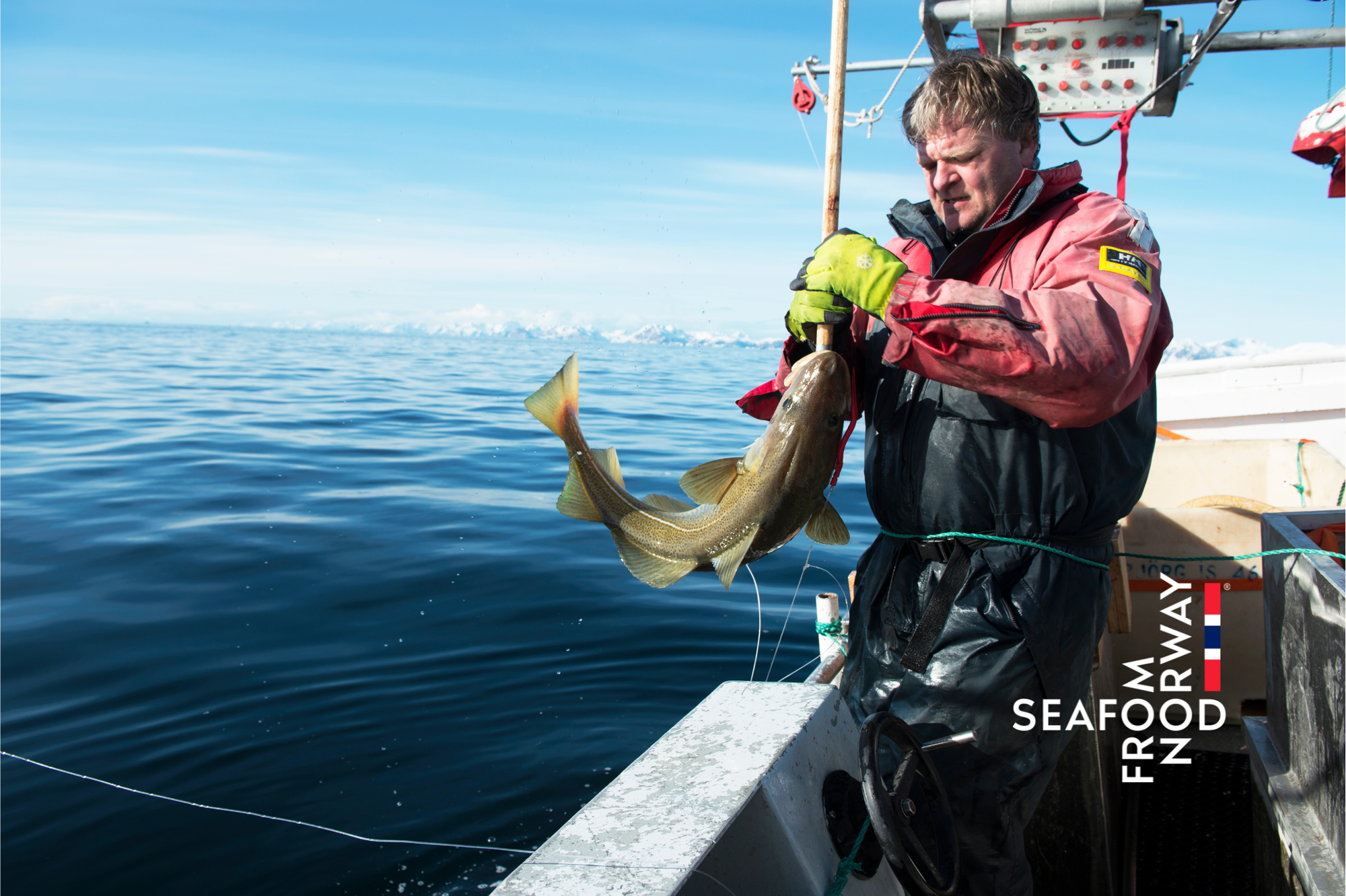 Na Uy - quốc gia dẫn đầu toàn cầu về quản lý thủy hải sản bền vững - Ảnh 1.