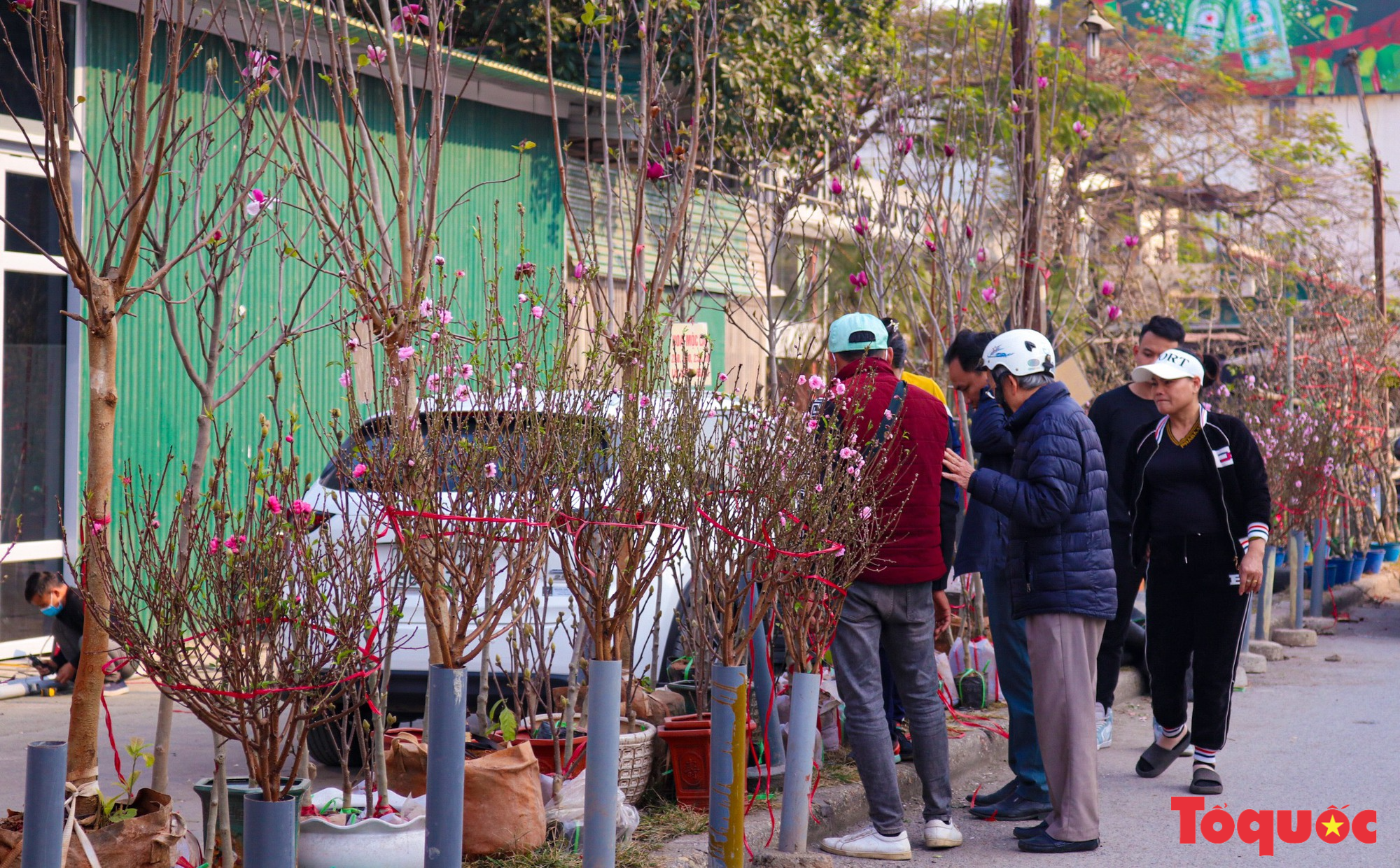 Chợ hoa xuân Hà Nội nhộn nhịp trong những ngày trước Tết - Ảnh 2.