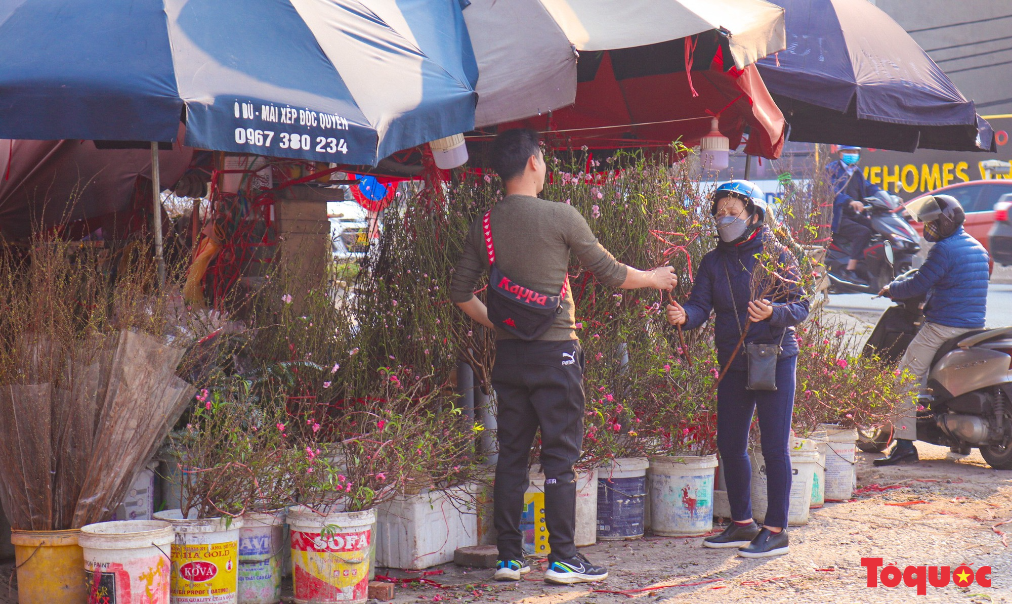Chợ hoa xuân Hà Nội nhộn nhịp trong những ngày trước Tết - Ảnh 6.