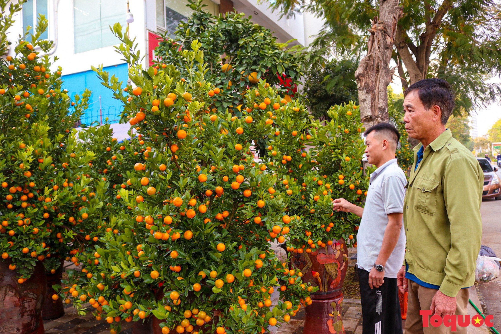 Chợ hoa xuân Hà Nội nhộn nhịp trong những ngày trước Tết - Ảnh 7.