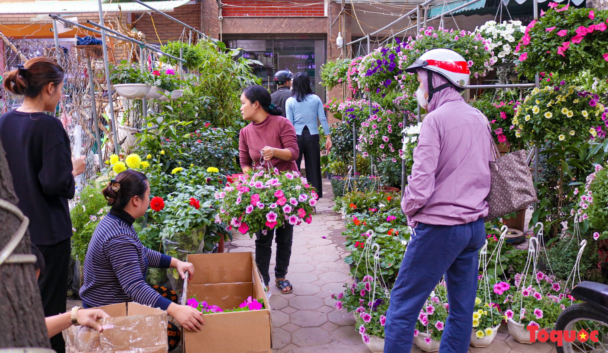 Chợ hoa xuân Hà Nội nhộn nhịp trong những ngày trước Tết - Ảnh 13.