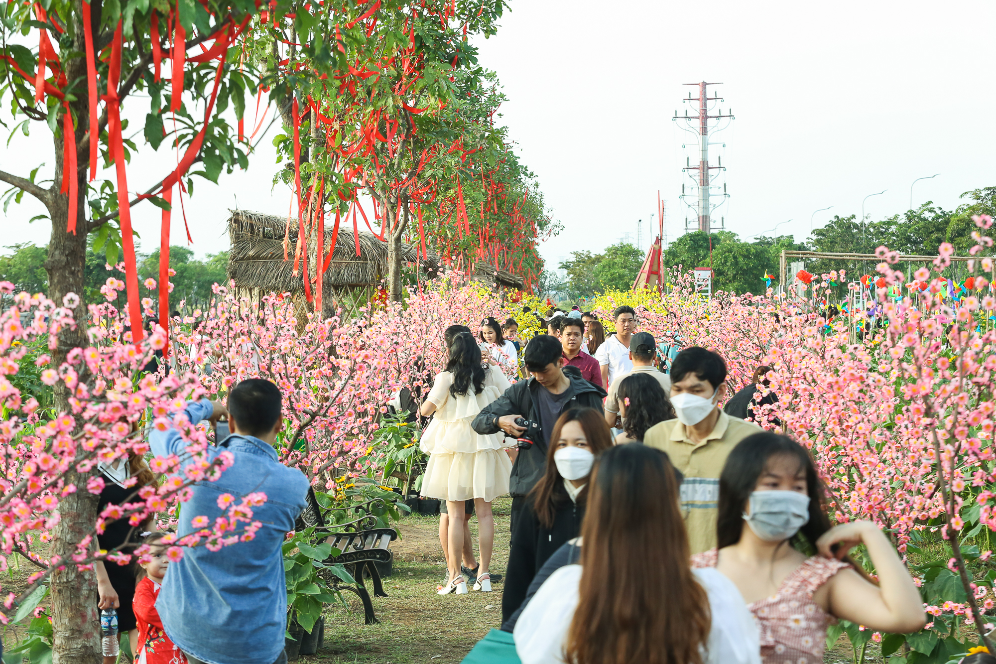 Ảnh: Vườn hoa hướng dương khoe sắc rực rỡ dịp cuối năm ở TP.HCM, hàng trăm người dân đến tham quan  - Ảnh 13.