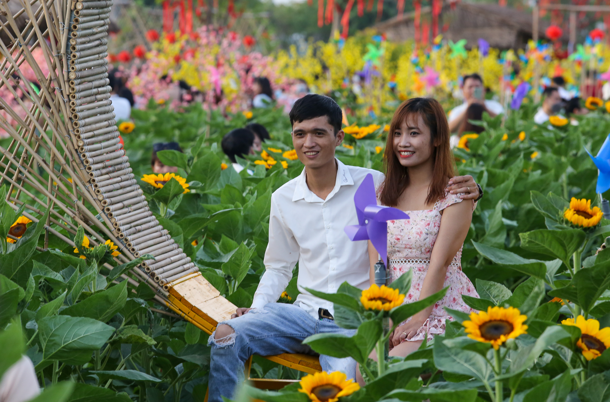 Ảnh: Vườn hoa hướng dương khoe sắc rực rỡ dịp cuối năm ở TP.HCM, hàng trăm người dân đến tham quan  - Ảnh 6.
