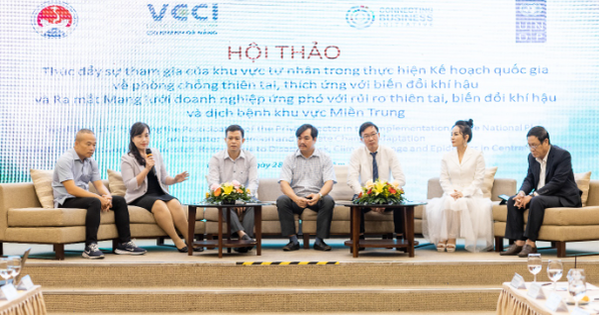 VCCI Đà Nẵng - Thúc đẩy vai trò của doanh nghiệp trong phòng chống thiên tai - Ảnh 1.