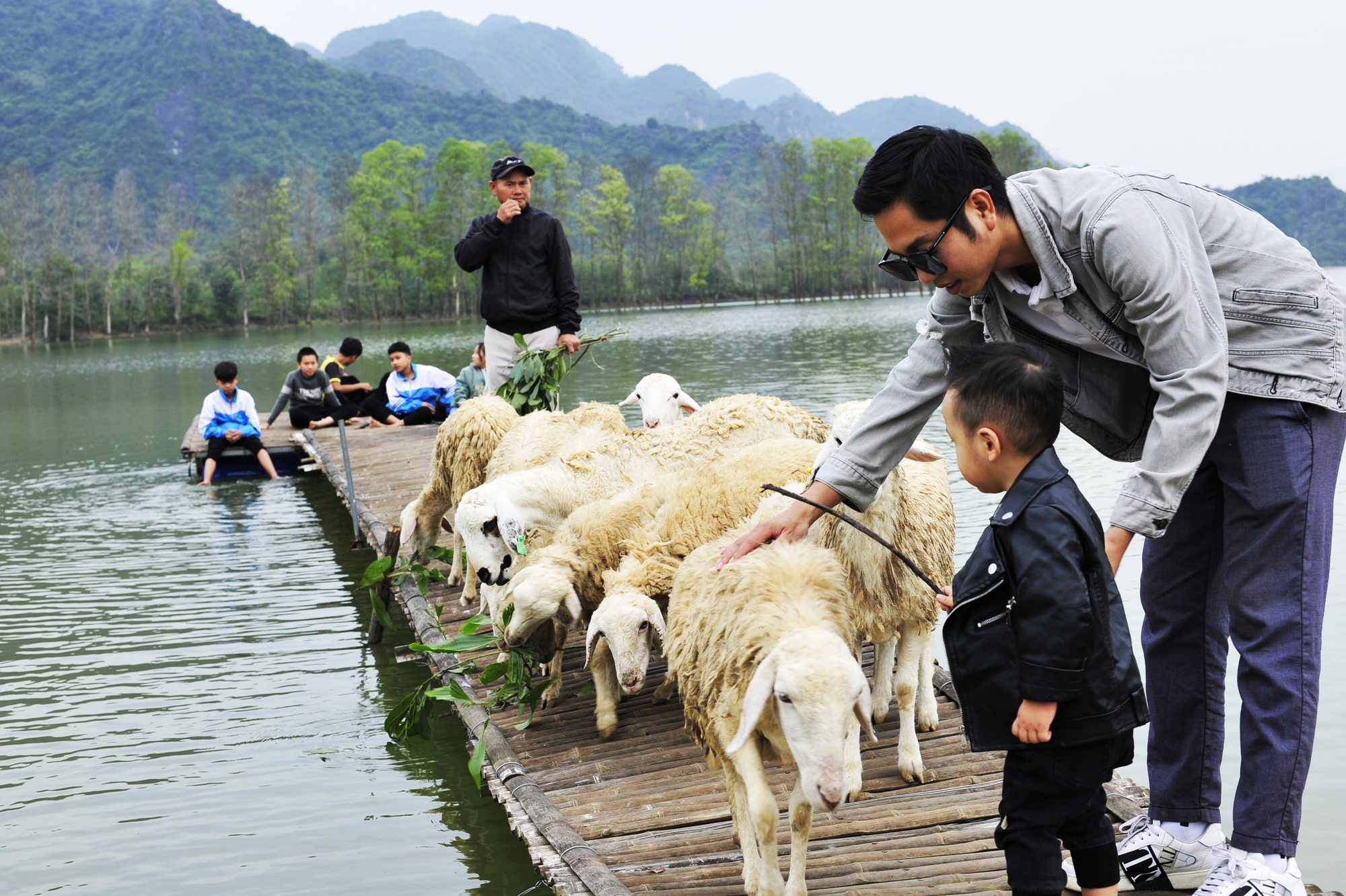 Đồng cừu Gia Hưng Ninh Bình có những vẻ đẹp riêng làm cho du khách không khỏi say mê.