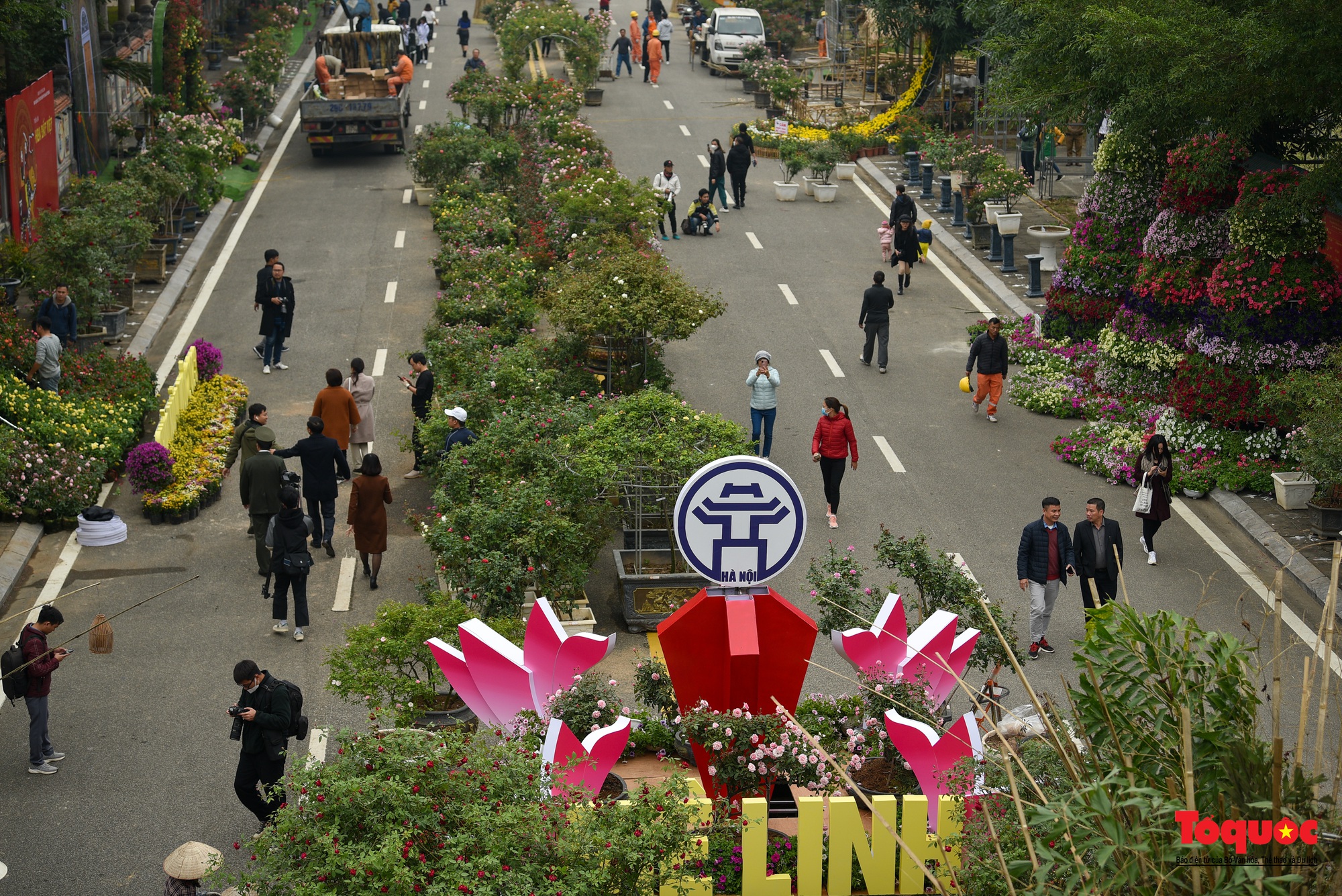 Người dân Mê Linh tất bật cho Festival hoa đầu tiên - Ảnh 3.