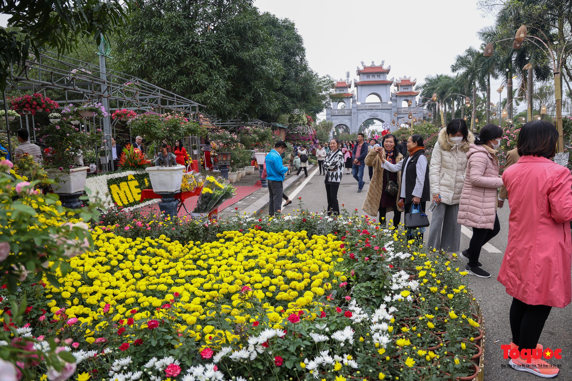 Khai mạc Lễ hội hoa và Festival nông sản, sản phẩm OCOP tại huyện Mê Linh - Ảnh 9.