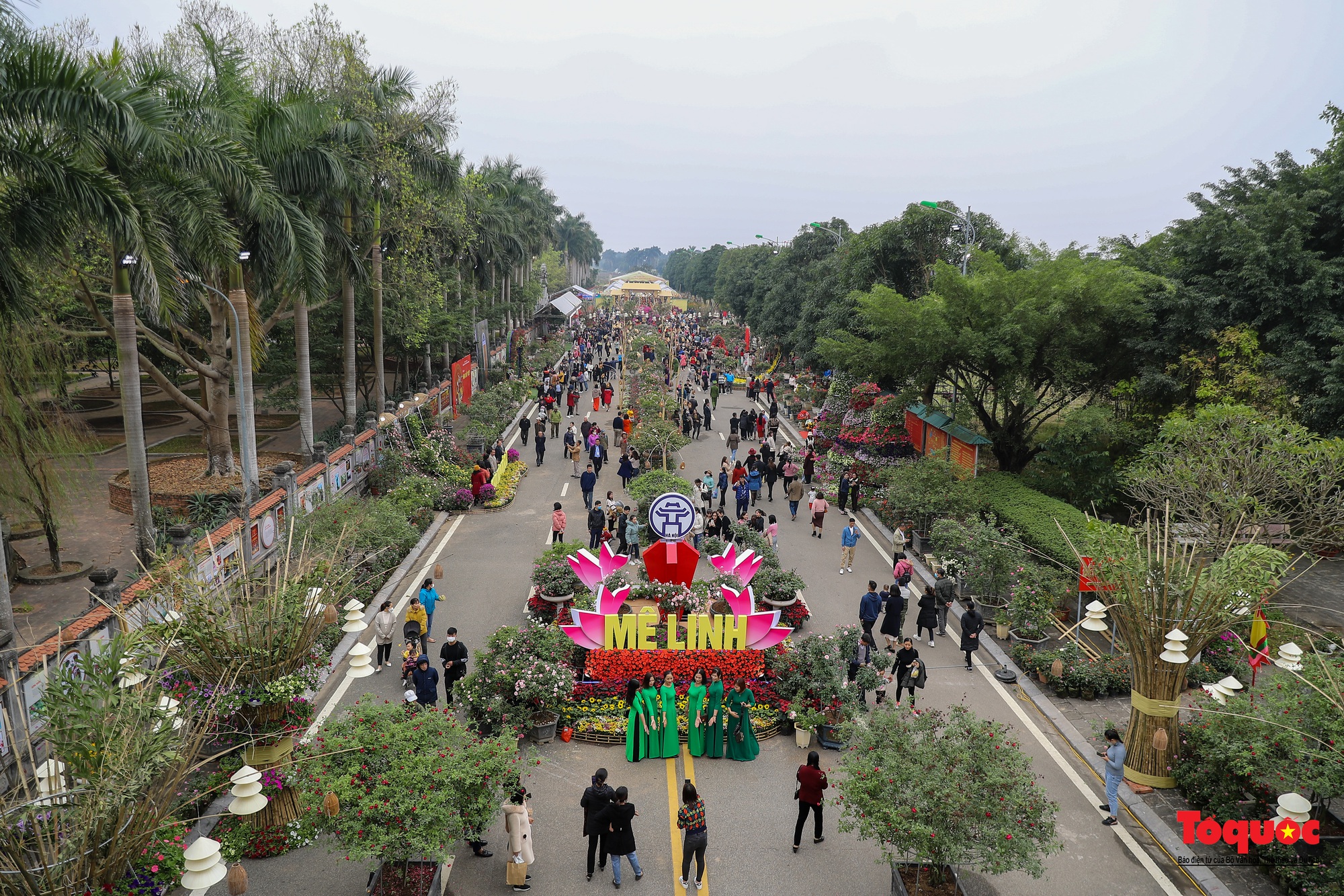 Khai mạc Lễ hội hoa và Festival nông sản, sản phẩm OCOP tại huyện Mê Linh - Ảnh 21.