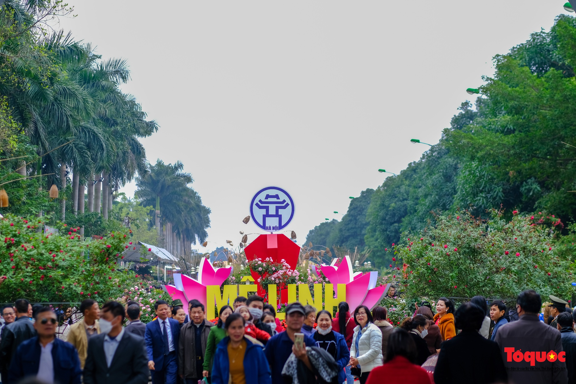 Khai mạc Lễ hội hoa và Festival nông sản, sản phẩm OCOP tại huyện Mê Linh - Ảnh 17.