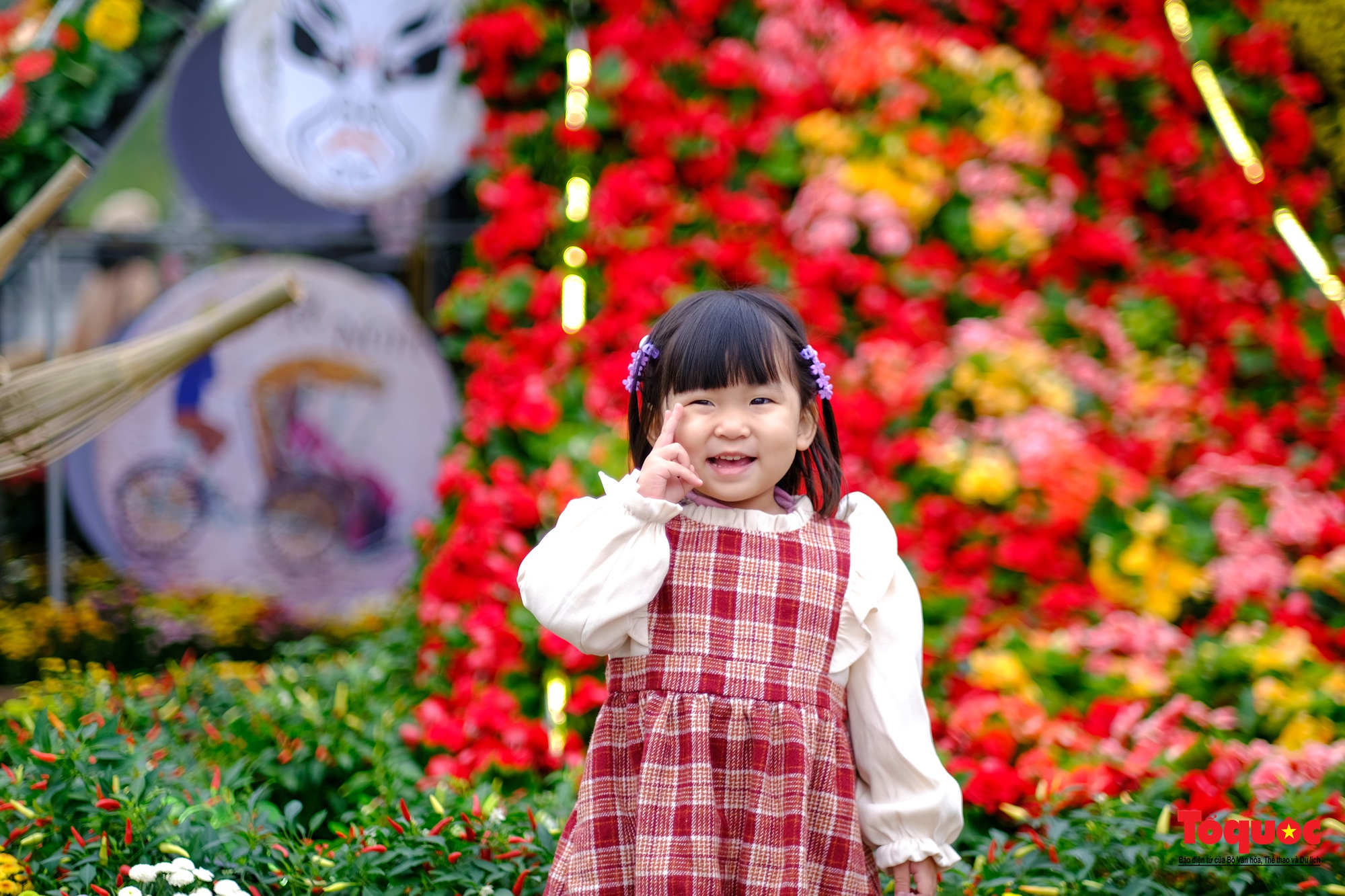 Khai mạc Lễ hội hoa và Festival nông sản, sản phẩm OCOP tại huyện Mê Linh - Ảnh 15.